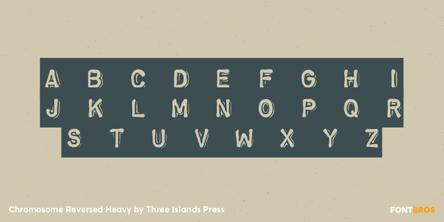 Chromosome Reversed Heavy Font Poster #2