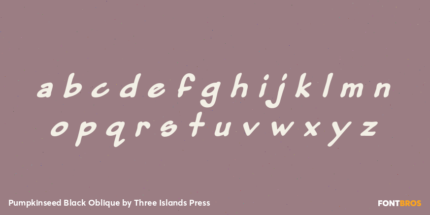 Pumpkinseed Black Oblique Font Poster #3