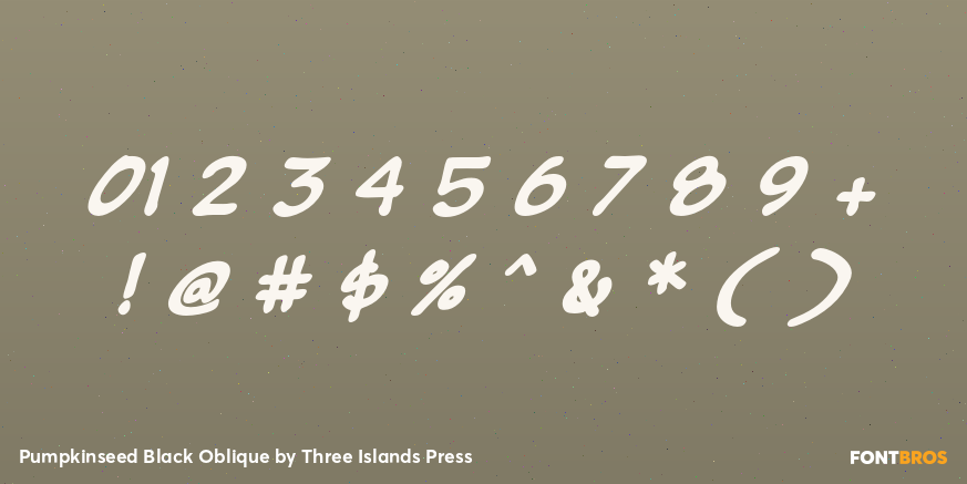 Pumpkinseed Black Oblique Font Poster #4