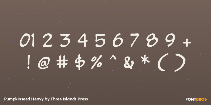 Pumpkinseed Heavy Font Poster #1