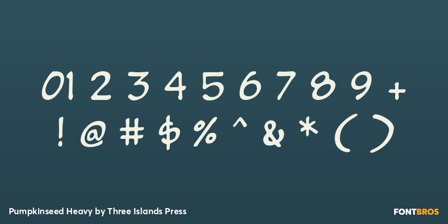 Pumpkinseed Heavy Font Poster #4