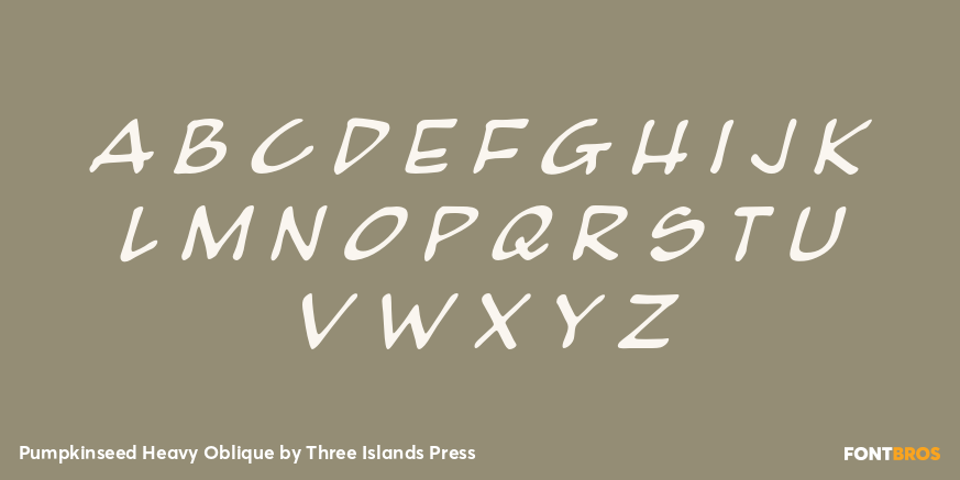 Pumpkinseed Heavy Oblique Font Poster #2