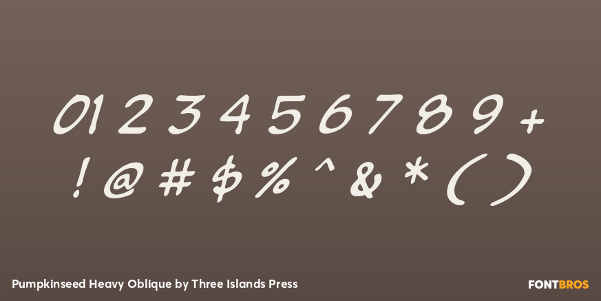 Pumpkinseed Heavy Oblique Font Poster #4