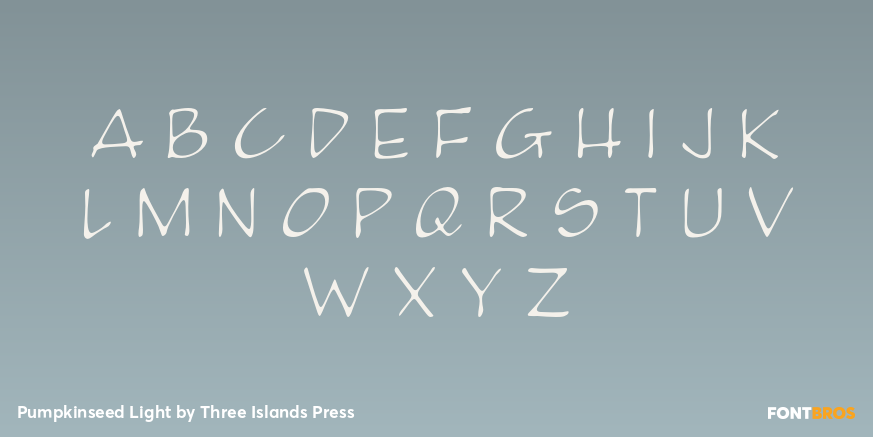 Pumpkinseed Light Font Poster #2