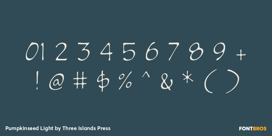 Pumpkinseed Light Font Poster #4