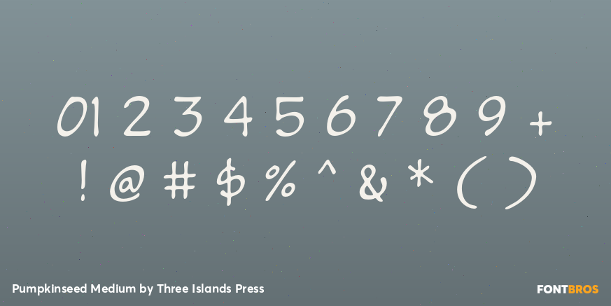 Pumpkinseed Medium Font Poster #4