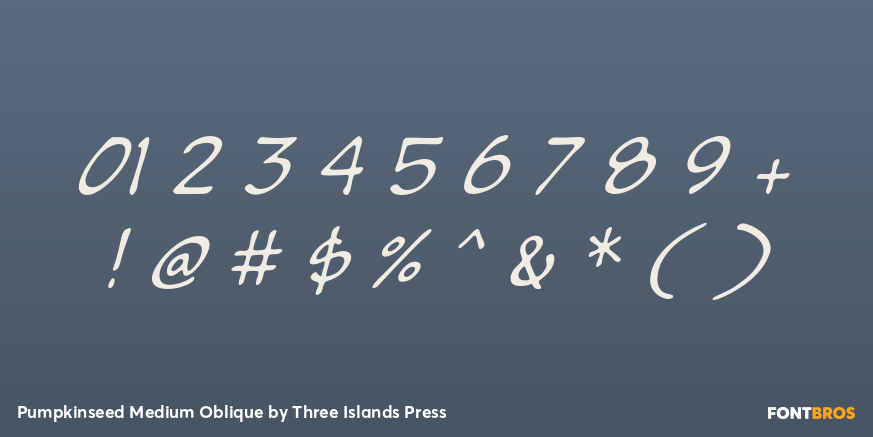 Pumpkinseed Medium Oblique Font Poster #4