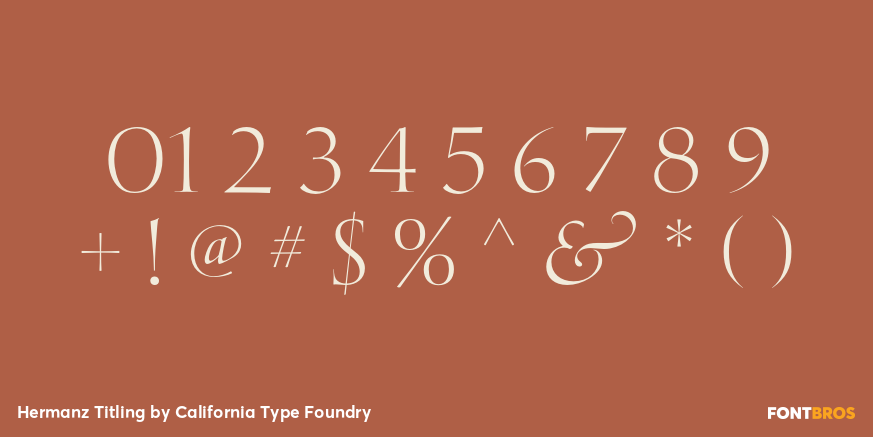 Hermanz Titling Font Poster #1