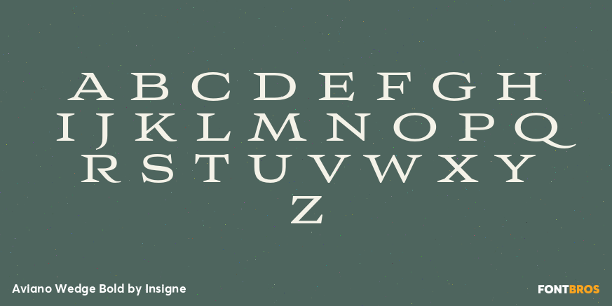 Aviano Wedge Bold Font Poster #1