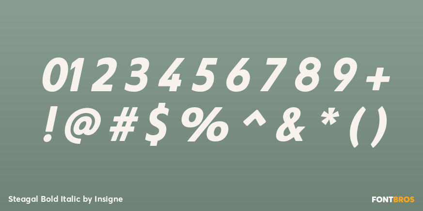 Steagal Bold Italic Font Poster #1
