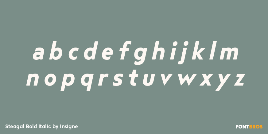 Steagal Bold Italic Font Poster #3