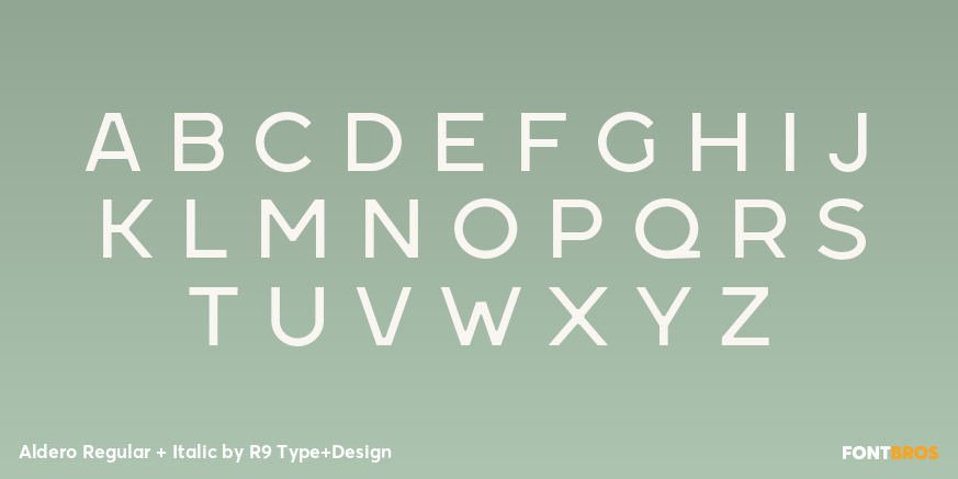 Aldero Regular + Italic Font Poster #2