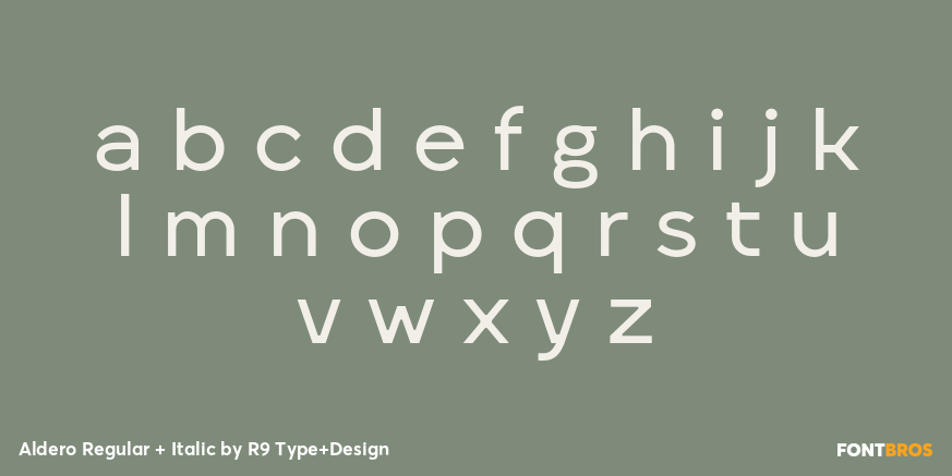 Aldero Regular + Italic Font Poster #3