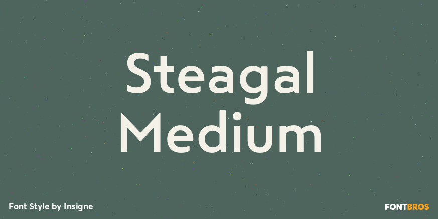 Steagal Medium Font Poster #1