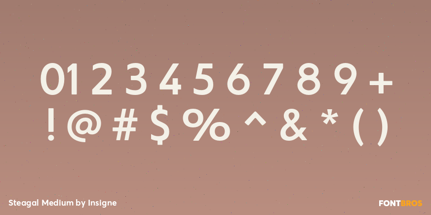 Steagal Medium Font Poster #1