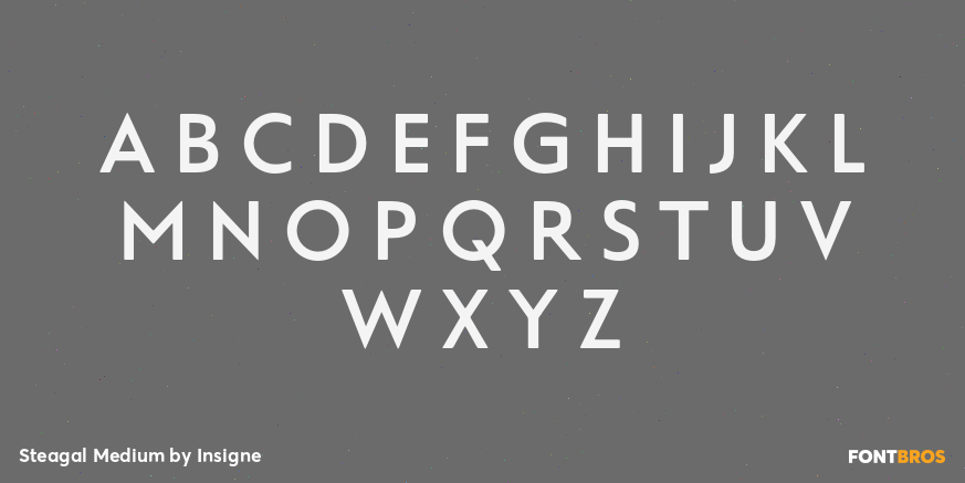 Steagal Medium Font Poster #1
