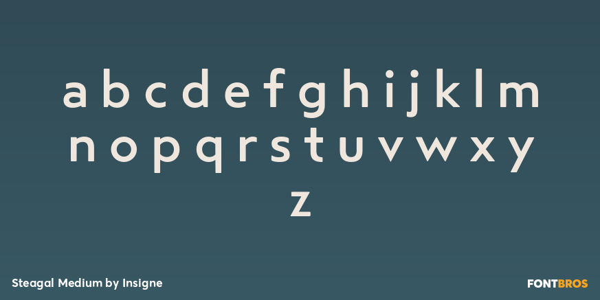 Steagal Medium Font Poster #1