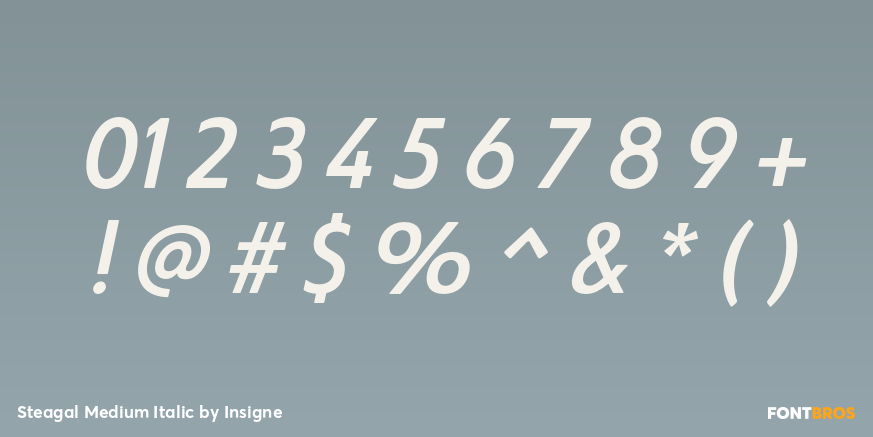 Steagal Medium Italic Font Poster #1