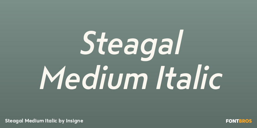 Steagal Medium Italic Font Poster #1