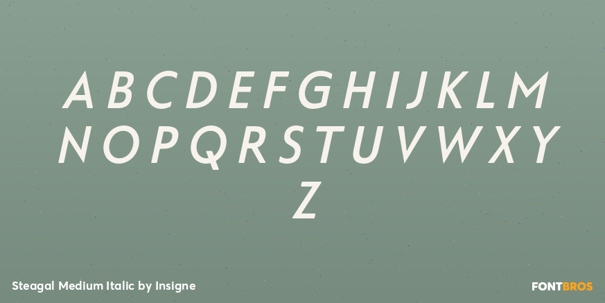 Steagal Medium Italic Font Poster #2