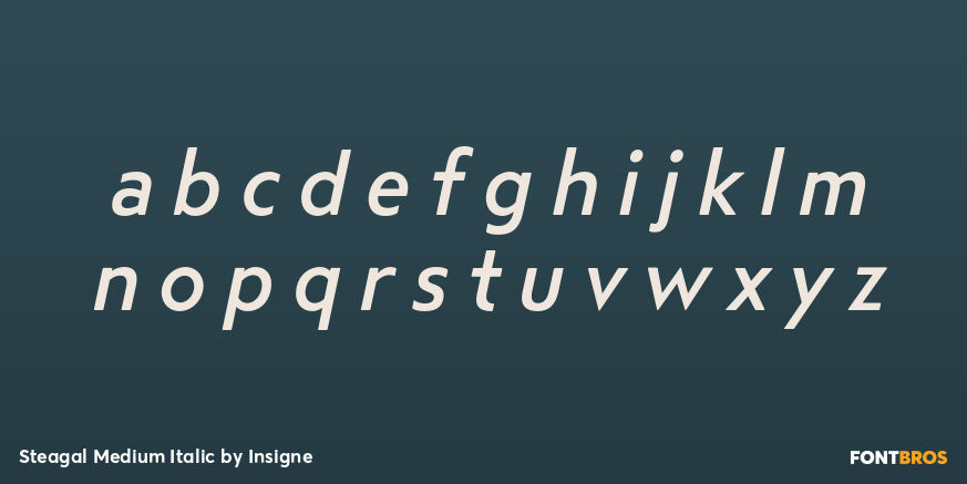 Steagal Medium Italic Font Poster #3