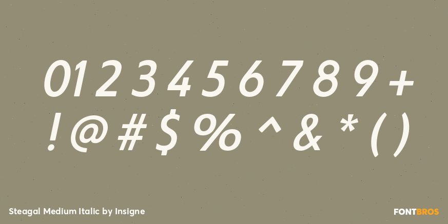 Steagal Medium Italic Font Poster #4