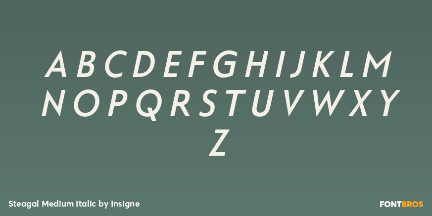 Steagal Medium Italic Font Poster #1