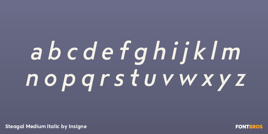 Steagal Medium Italic Font Poster #1