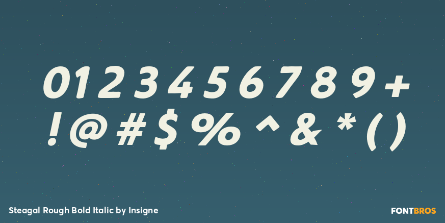 Steagal Rough Bold Italic Font Poster #1