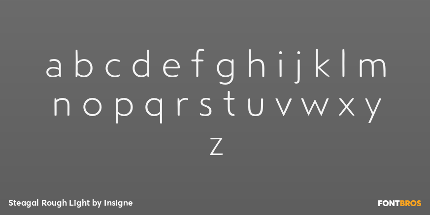 Steagal Rough Light Font Poster #3