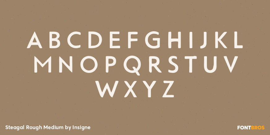 Steagal Rough Medium Font Poster #2