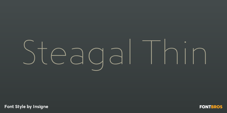 Steagal Thin Font Poster #1