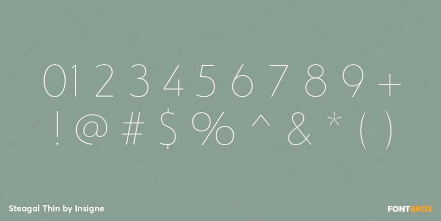 Steagal Thin Font Poster #1