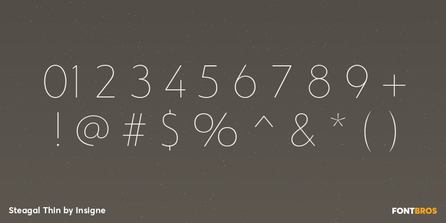 Steagal Thin Font Poster #4