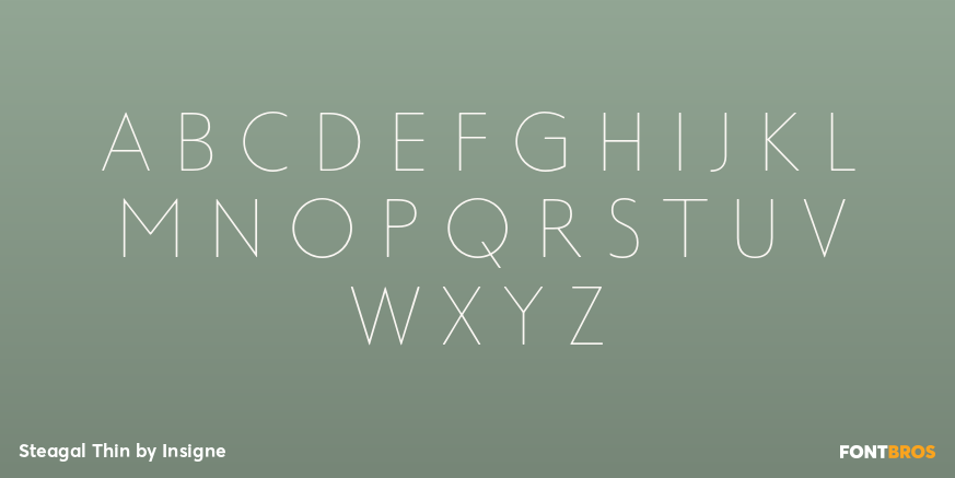 Steagal Thin Font Poster #1