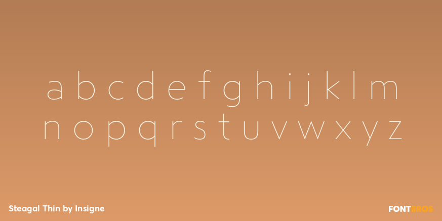 Steagal Thin Font Poster #1