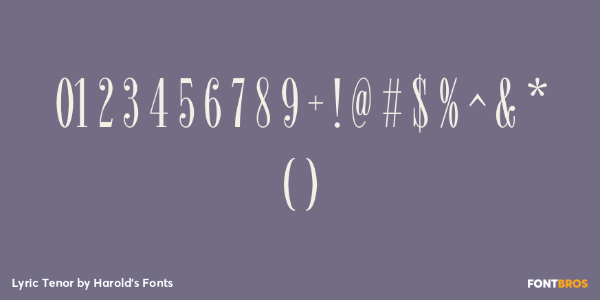 Lyric Tenor Font Poster #4