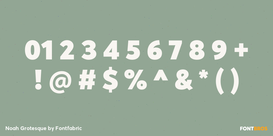 Noah Grotesque Font Poster #4