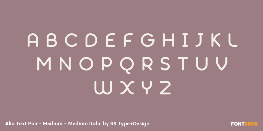 Alio Text Pair - Medium + Medium Italic Font Poster #2