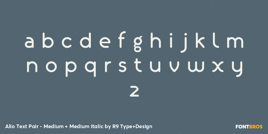 Alio Text Pair - Medium + Medium Italic Font Poster #3