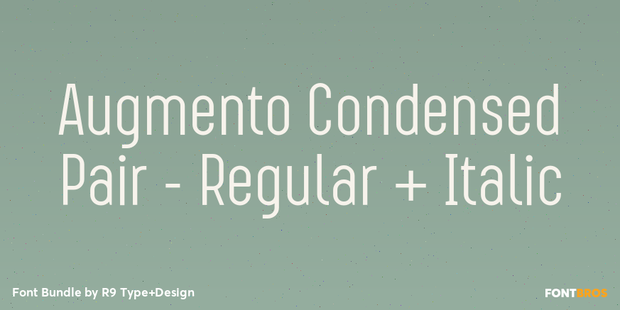 Augmento Condensed Pair - Regular + Italic Poster