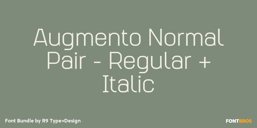 Augmento Normal Pair - Regular + Italic Poster