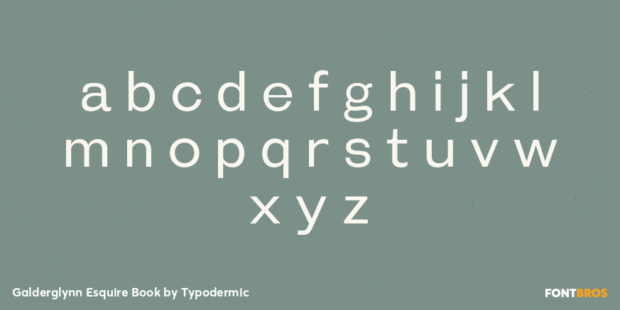 Galderglynn Esquire Book Font Poster #3