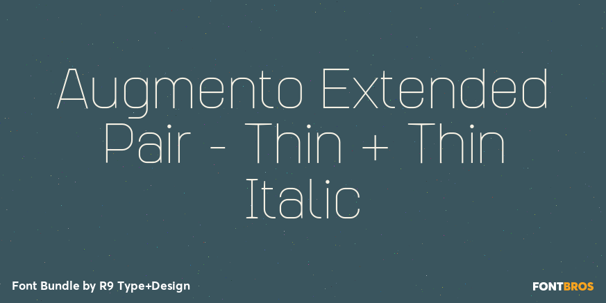 Augmento Extended Pair - Thin + Thin Italic Poster