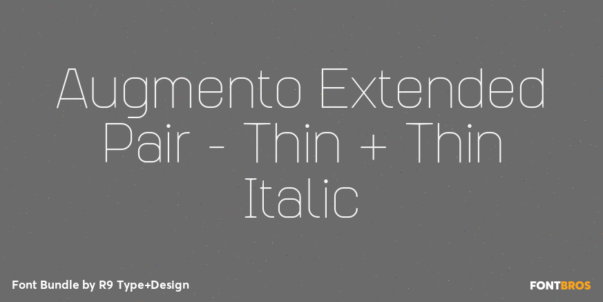 Augmento Extended Pair - Thin + Thin Italic Poster