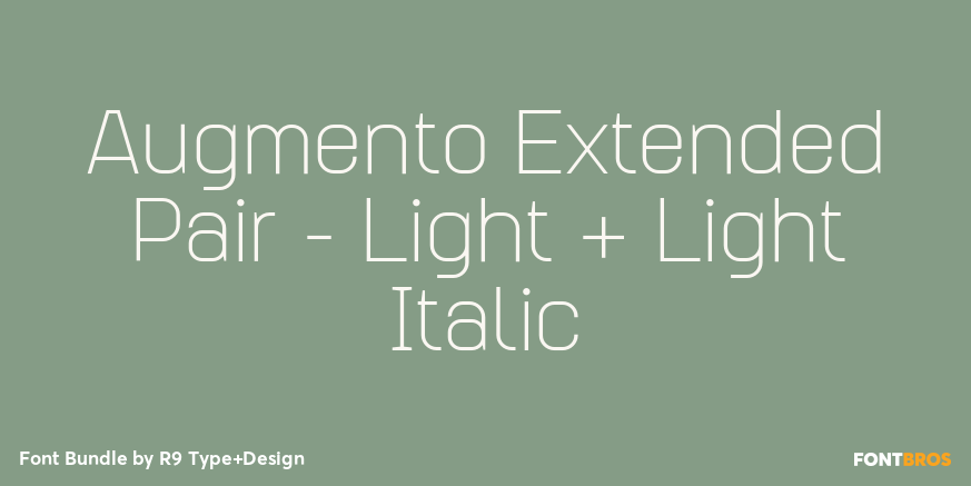 Augmento Extended Pair - Light + Light Italic Poster