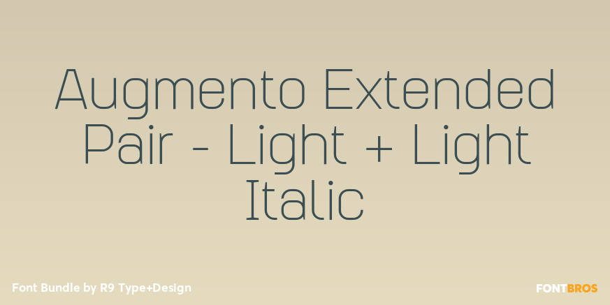 Augmento Extended Pair - Light + Light Italic Poster