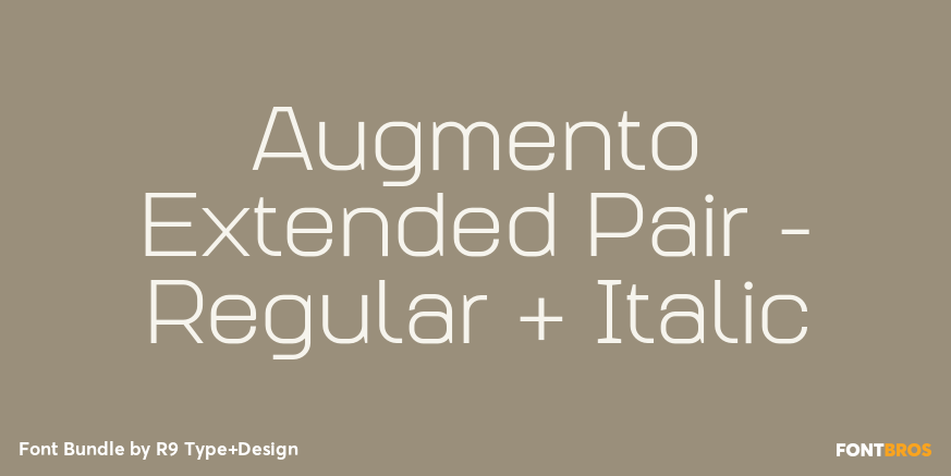 Augmento Extended Pair - Regular + Italic Poster
