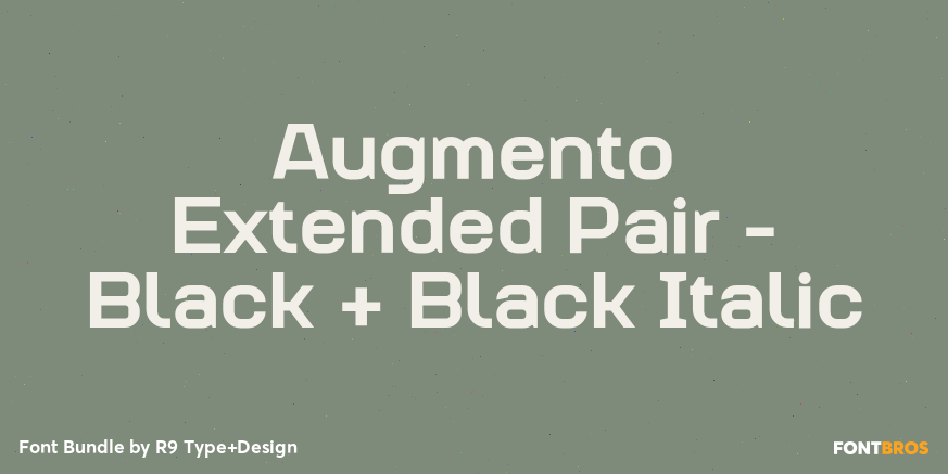 Augmento Extended Pair - Black + Black Italic Poster