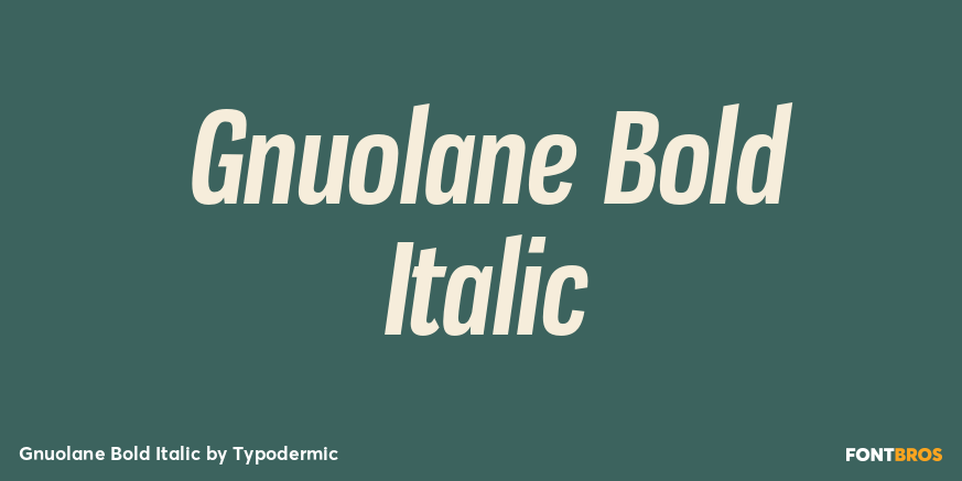 Gnuolane Bold Italic Font Poster #1